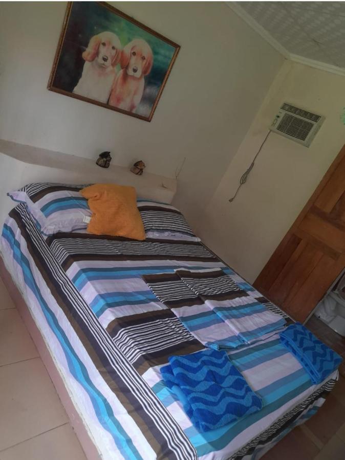 Hostal Denisse Tours 산타 카탈리나 외부 사진